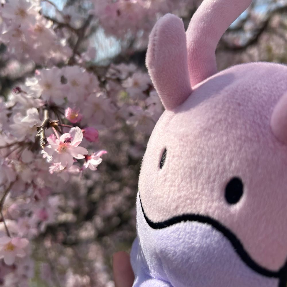 ぬ