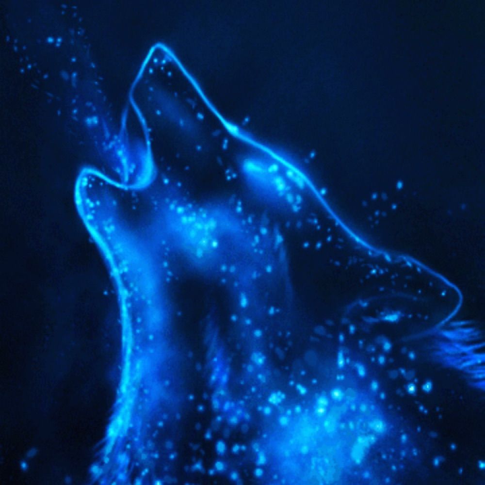 𝙈𝙖𝙢𝙚ﾏﾒ狼🌙🐺