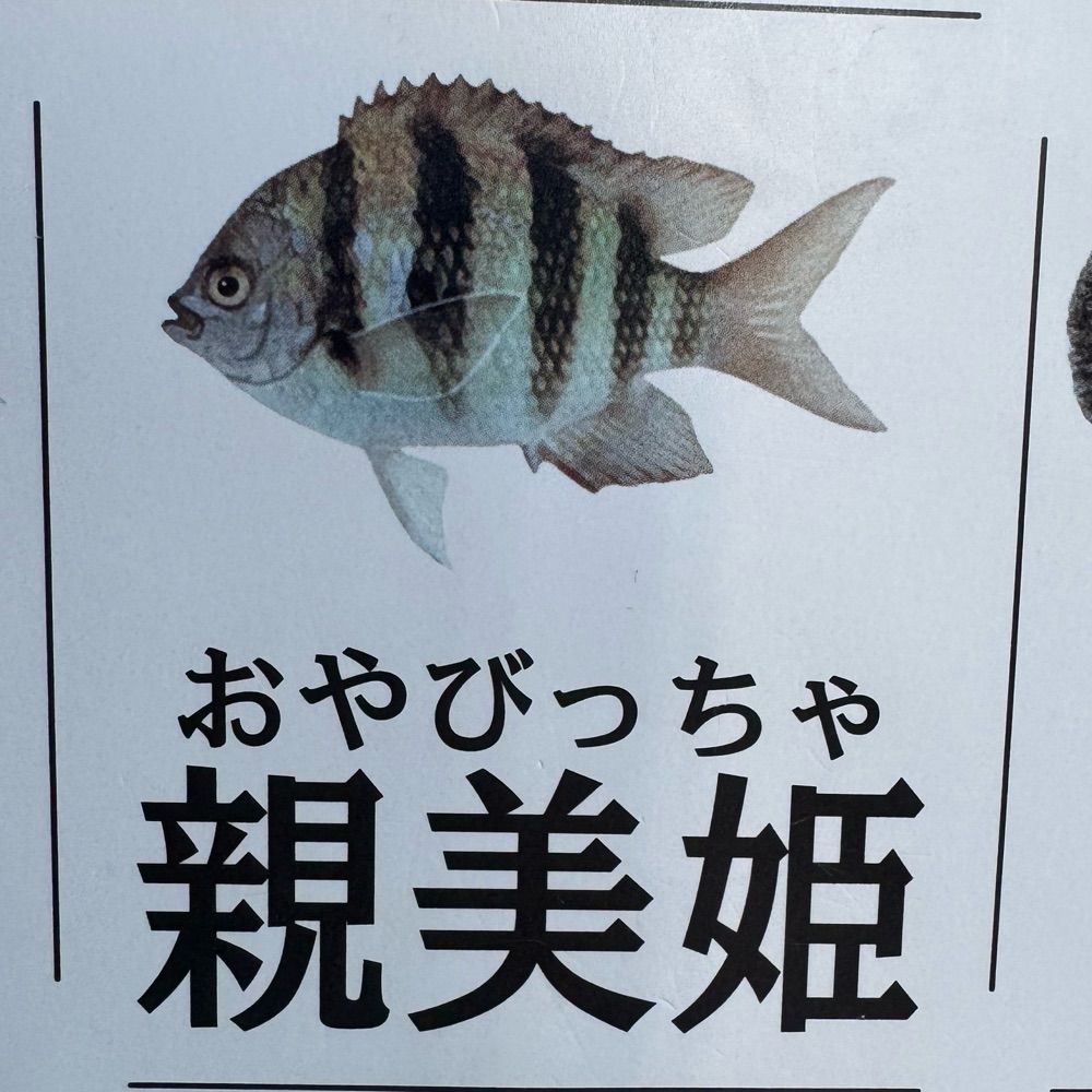 (そらなす)
