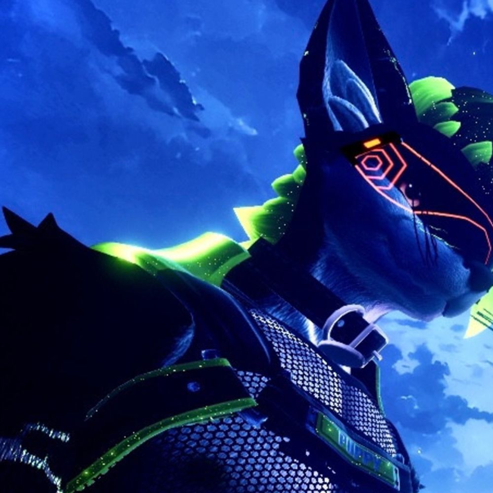 Pup Rads