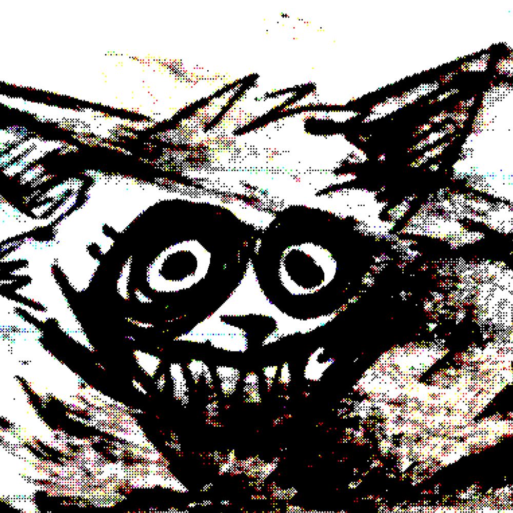 BaddRakoon