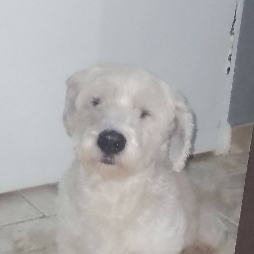 Gabriel