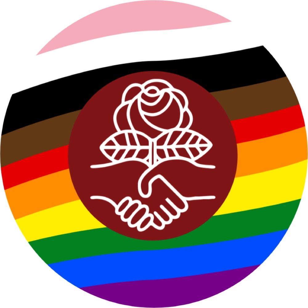 DSA Queer Socialists Working Group