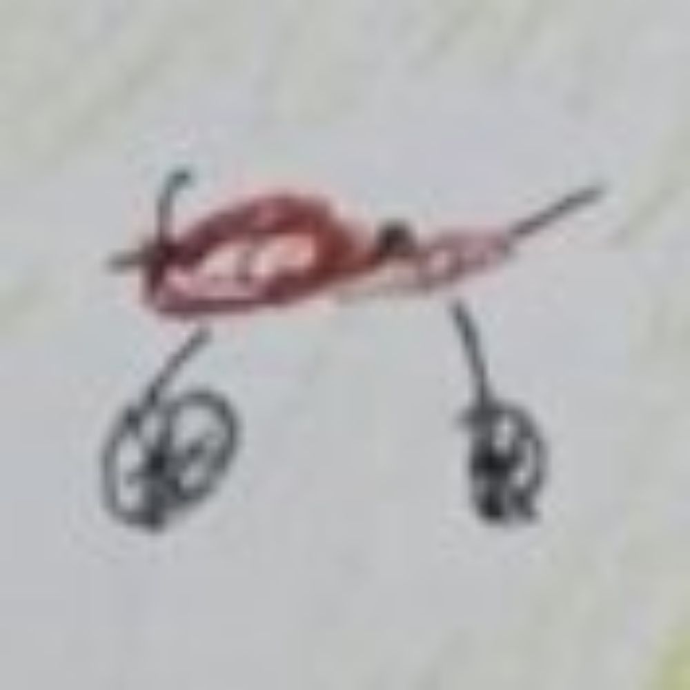 은태