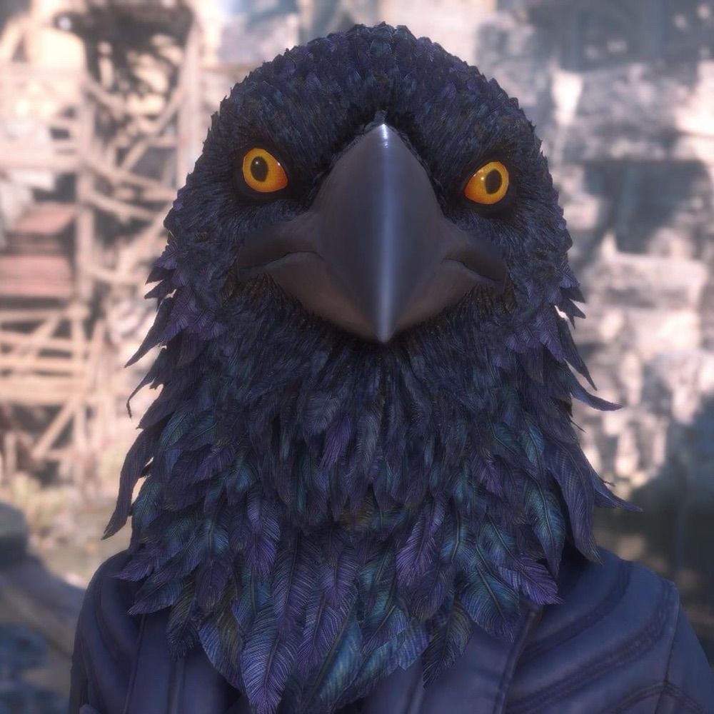 WooshGoBirb