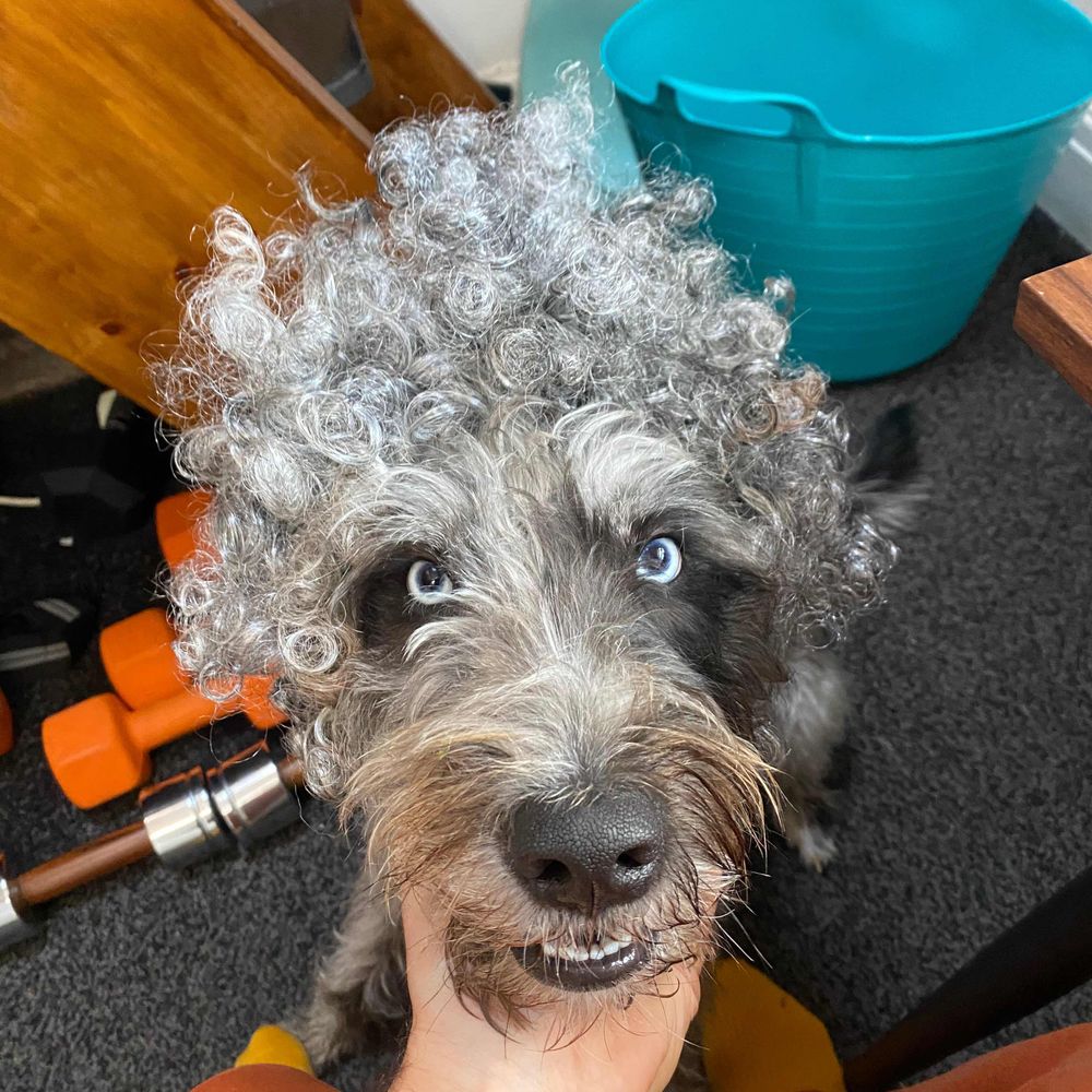 Ben