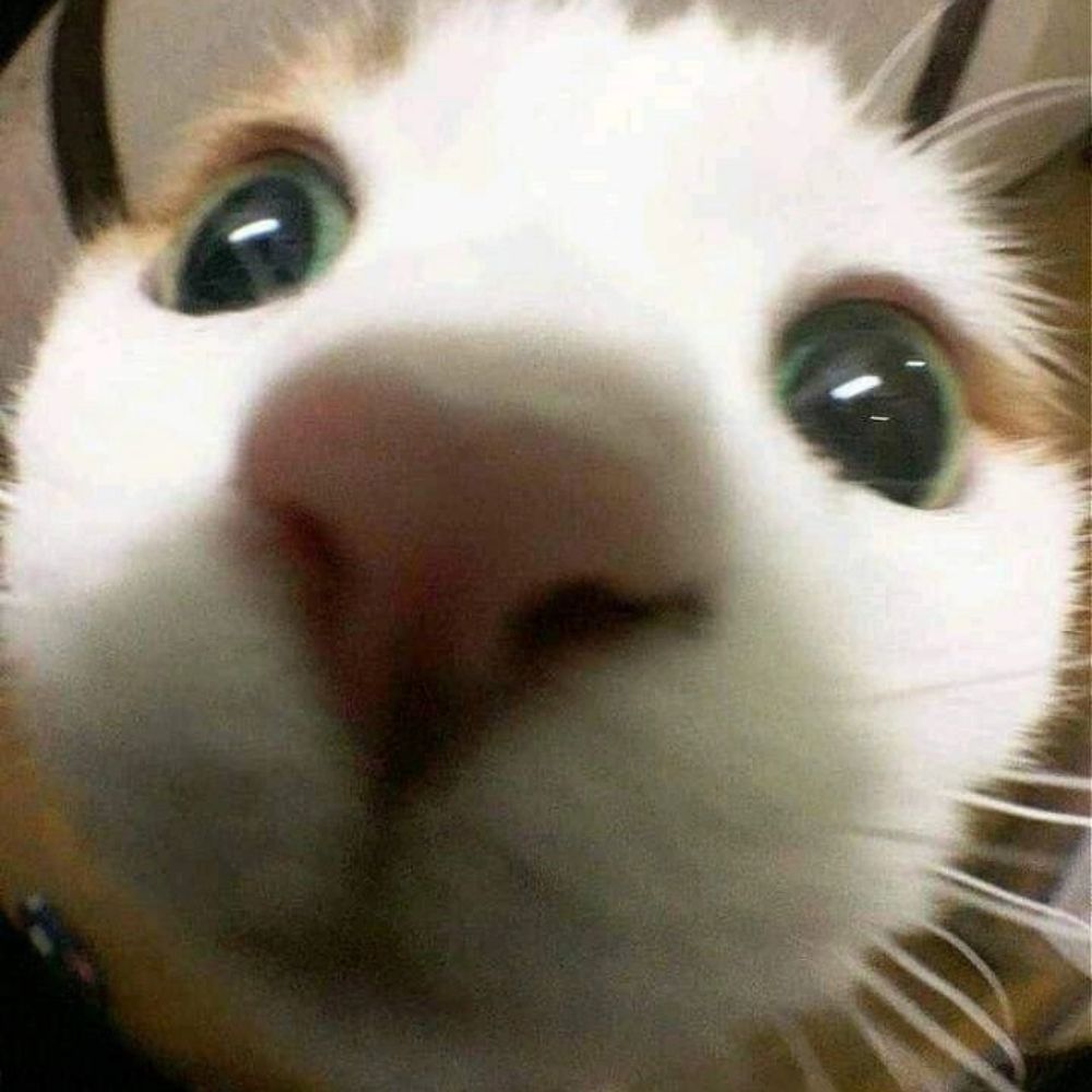 Hiroooo