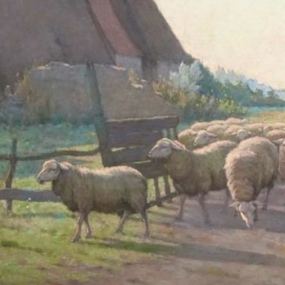花野🐏