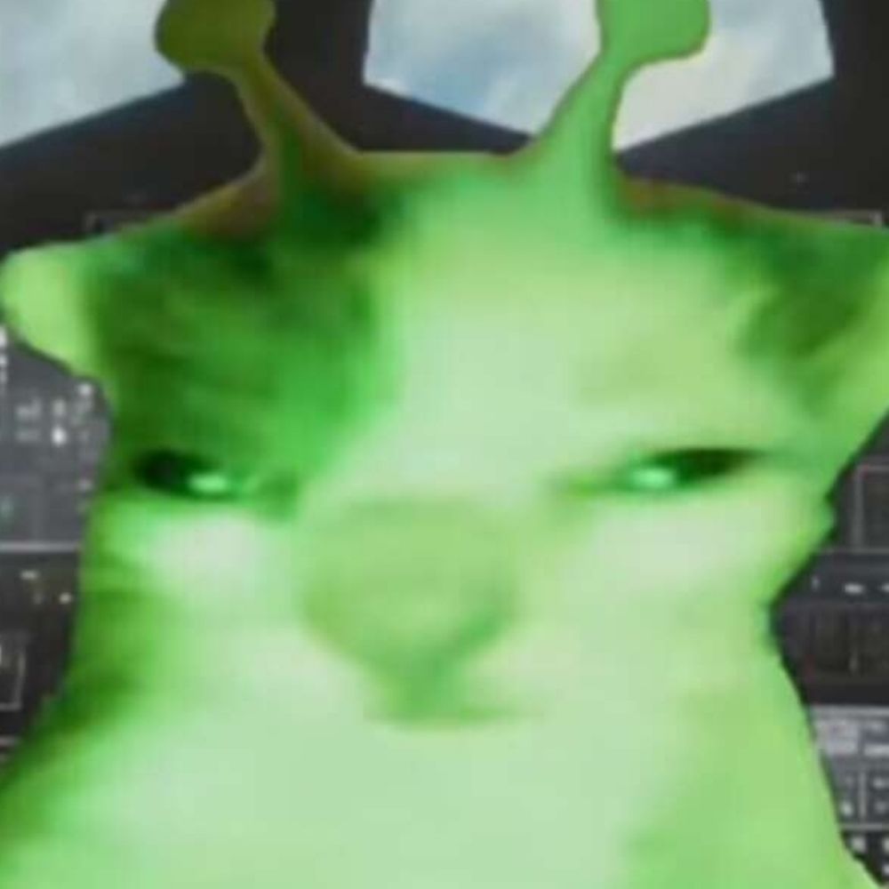 alicerobert