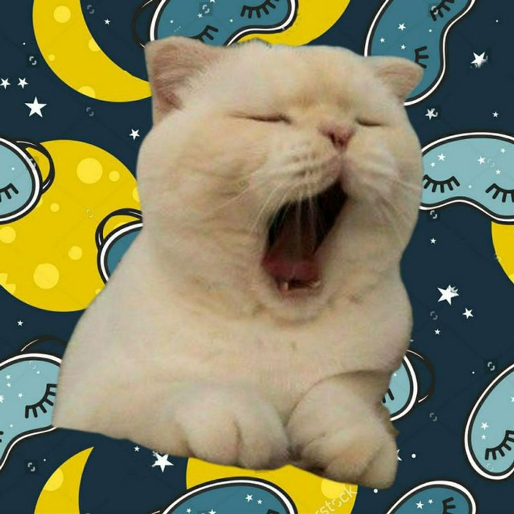 Sleepycat