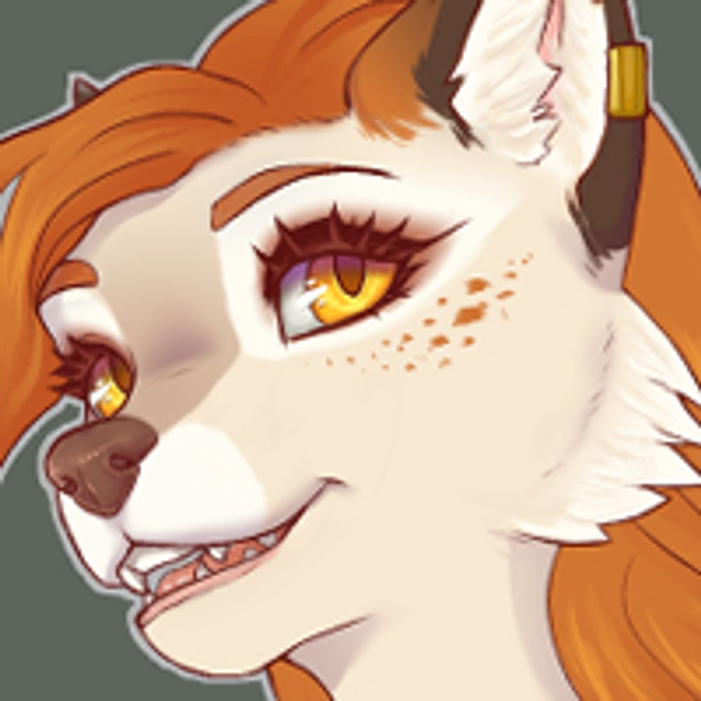 Vixember🦊🍁