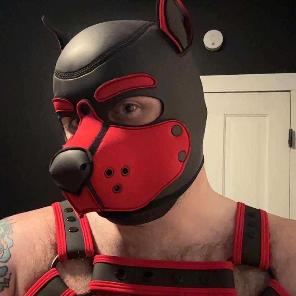 Pup Inferno