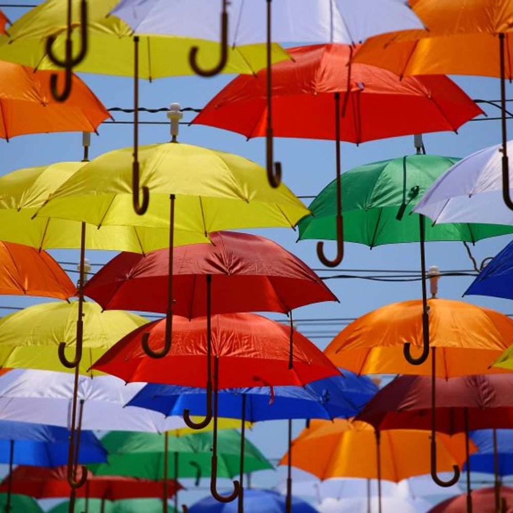 Intersectional Neurodiversity and Disability Reading Groups