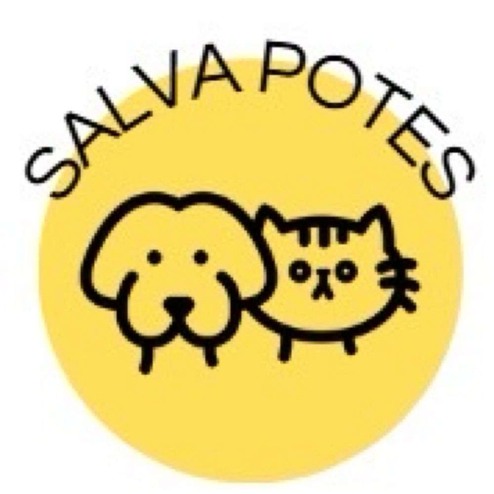 Salva potes