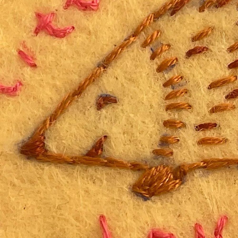 ✨🦔Nate!🌈🦐🐾