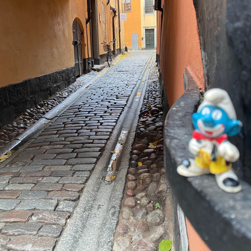 Gustav