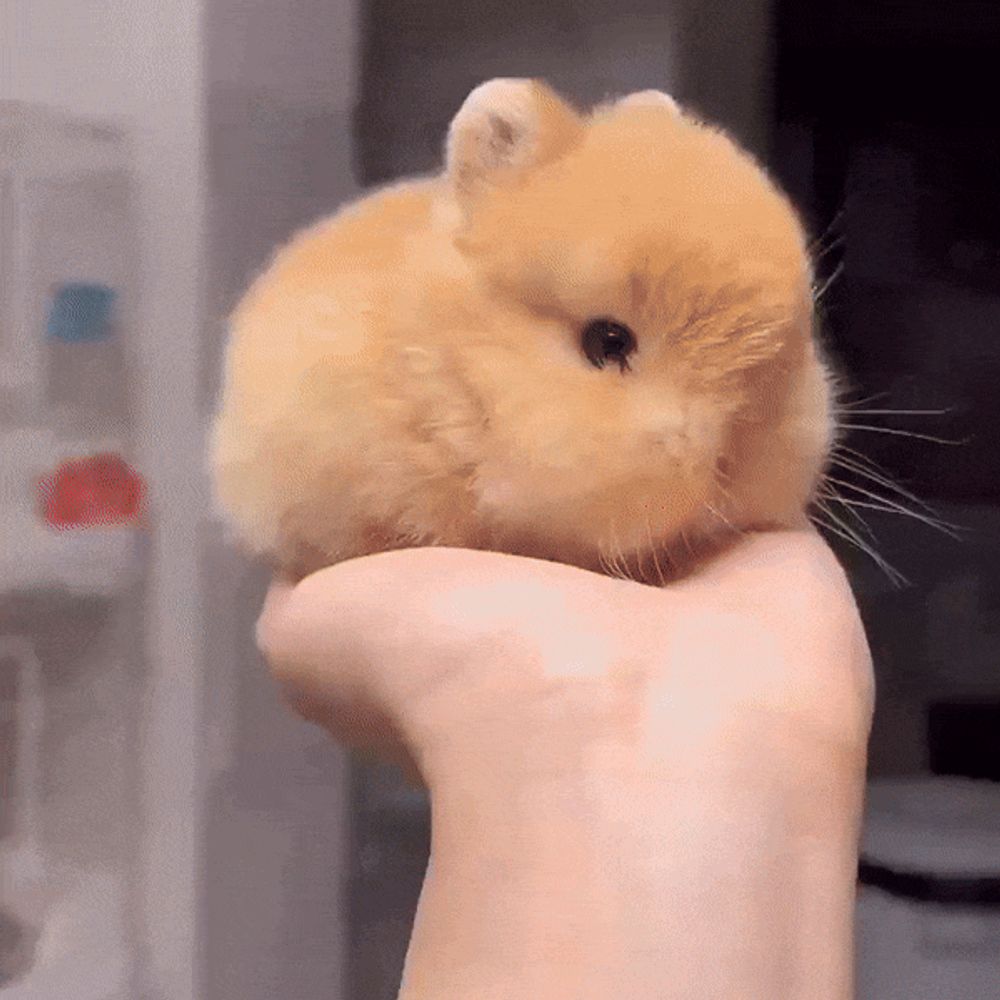 tod