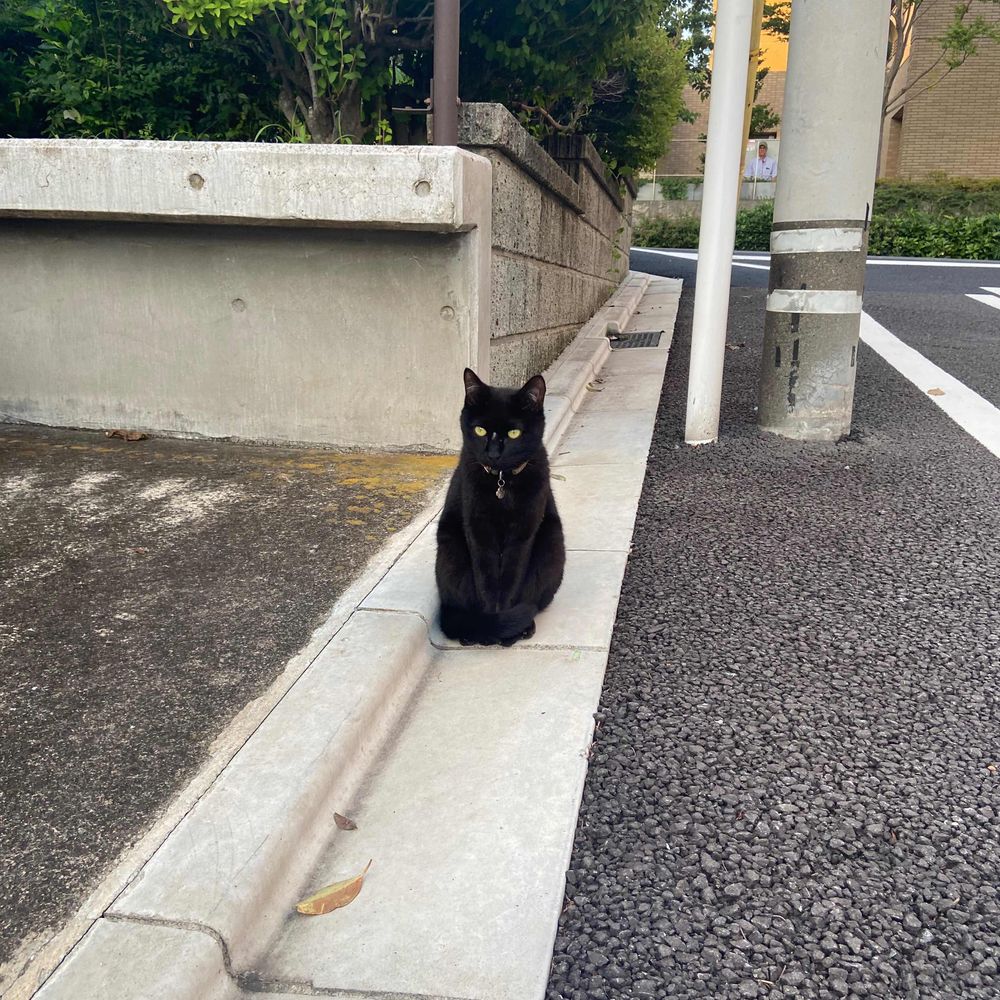 カンミ