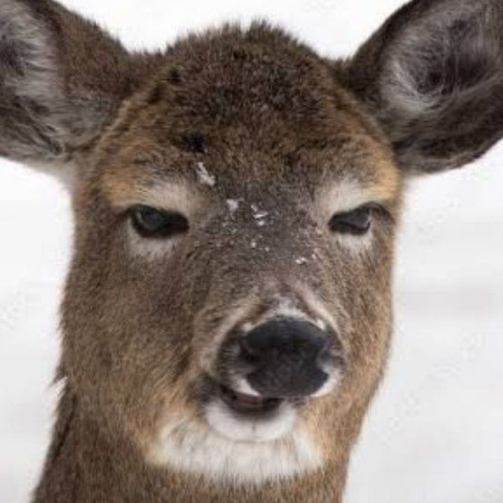 Sōde
