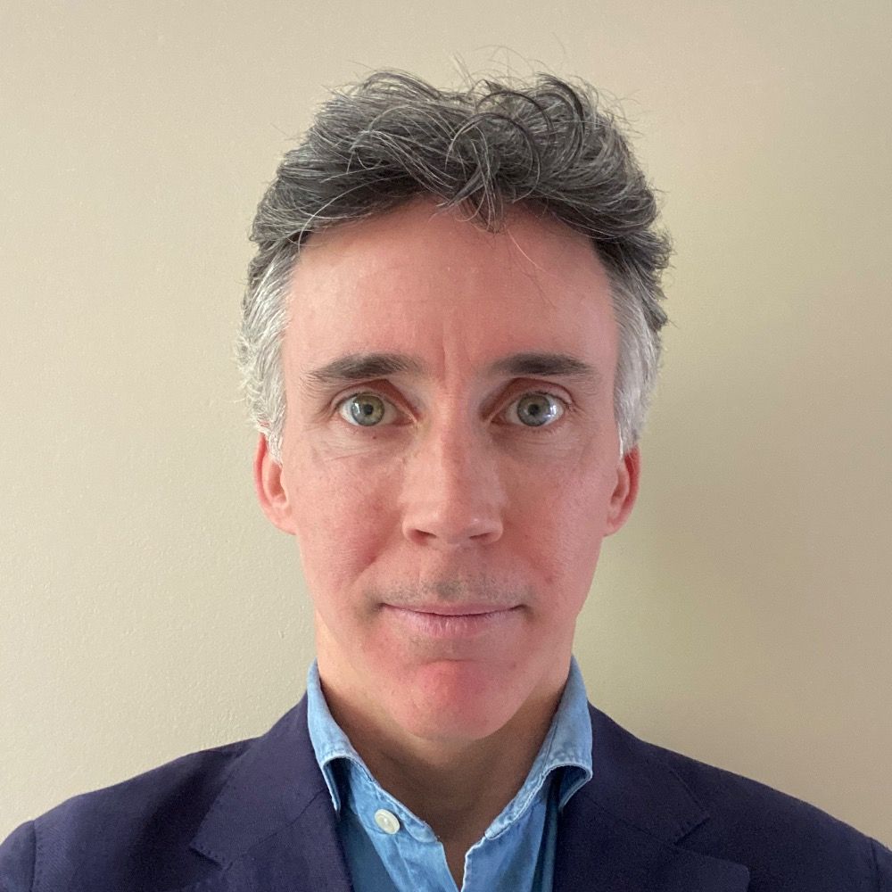 Ian Mulheirn
