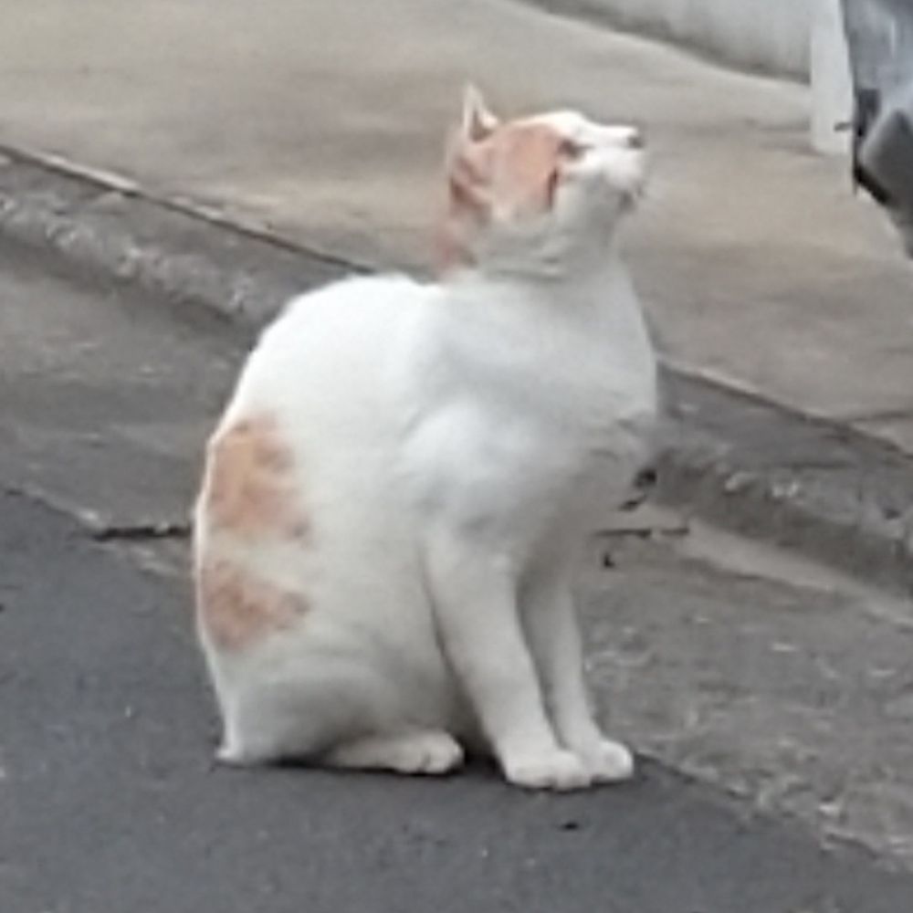 ときわ