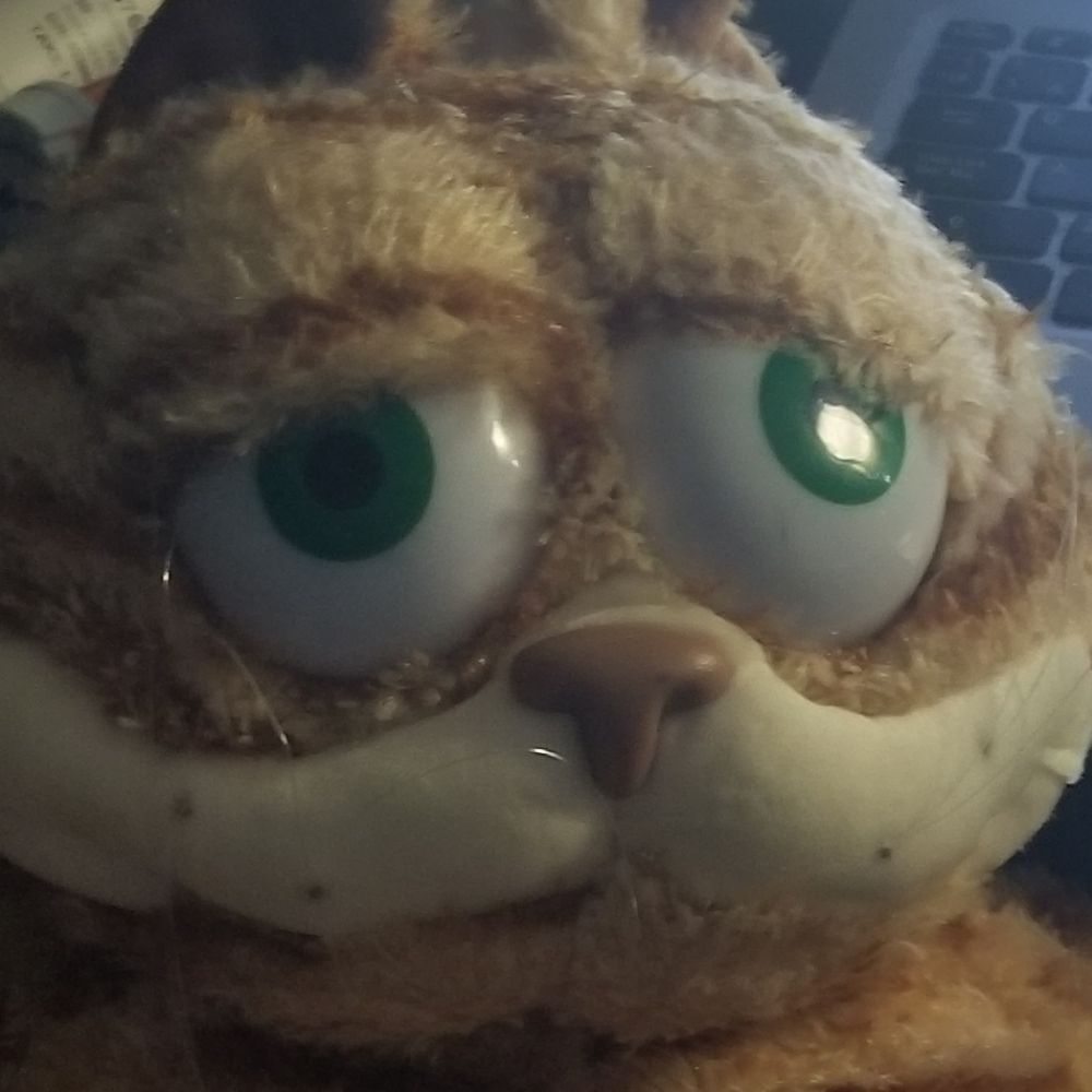 JIMMMMMMMMMMMMMMMM