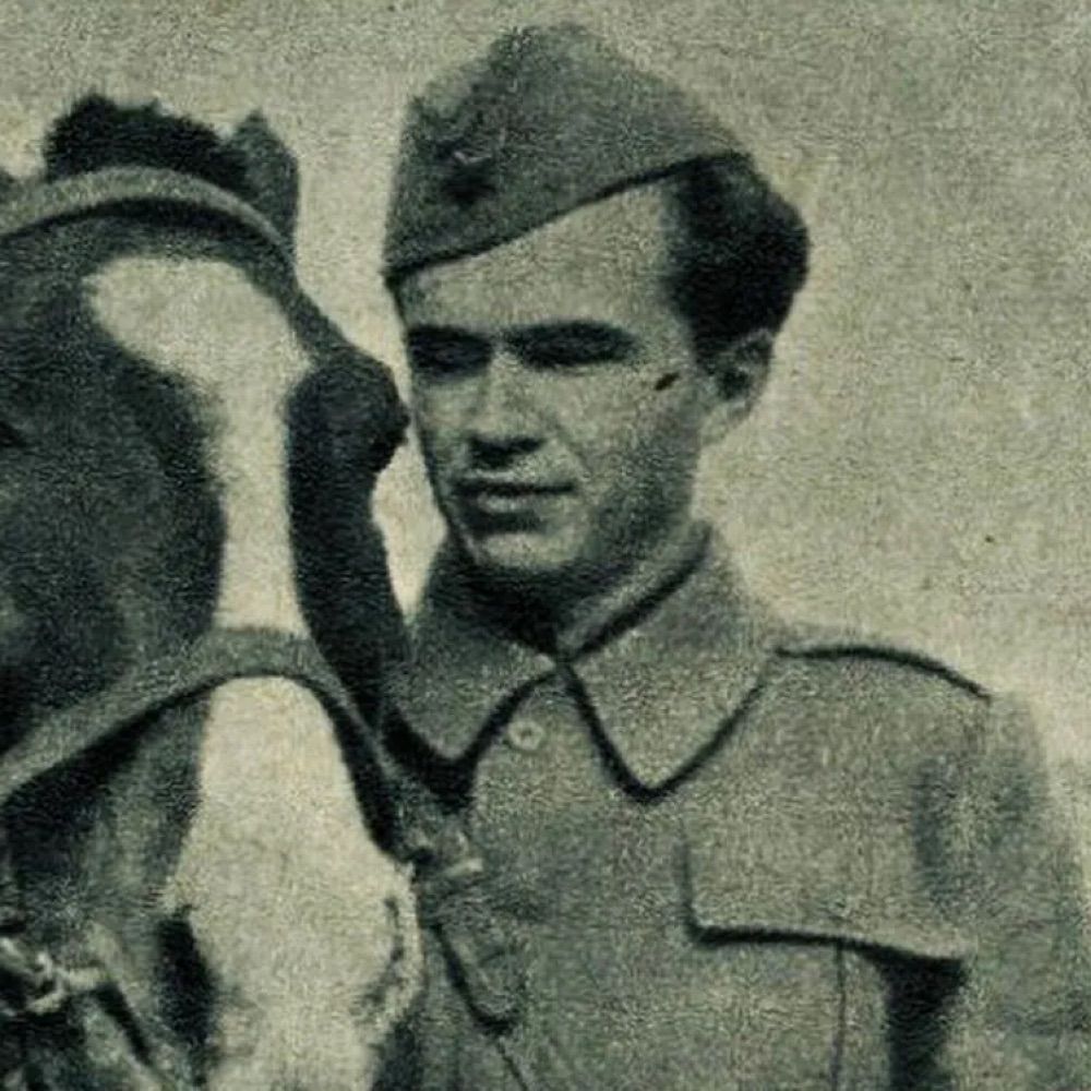 Ivo Lola