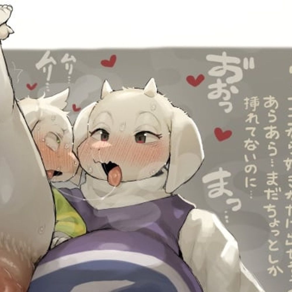 🚼🍼𝑻𝒐𝒓𝒊𝒆𝒍🚼🍼