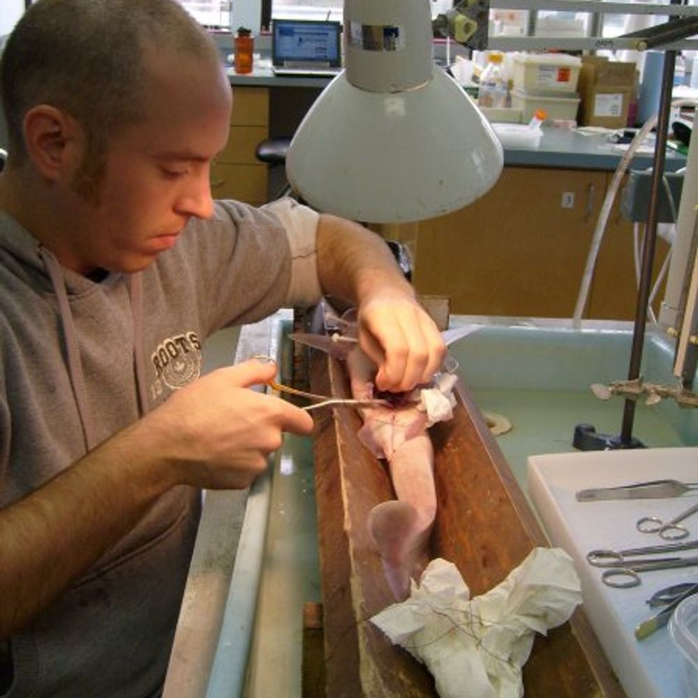 MacCormack Lab - Mount Allison University
