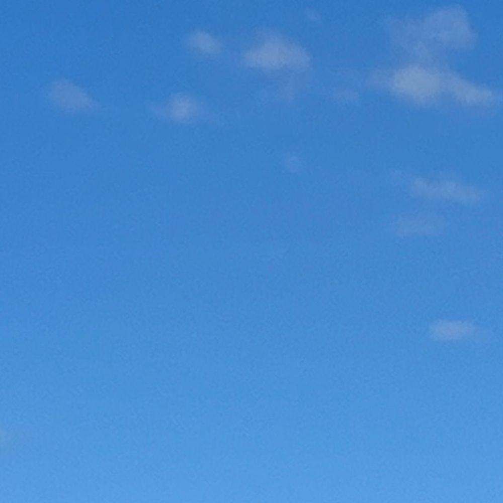 Bluesky-Briefing 🦋