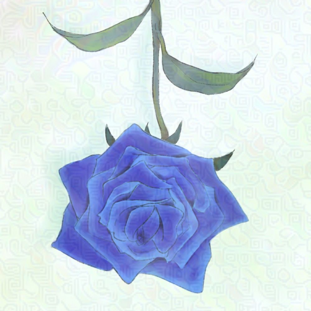 倉下藻腐子(mobuco 🪼)