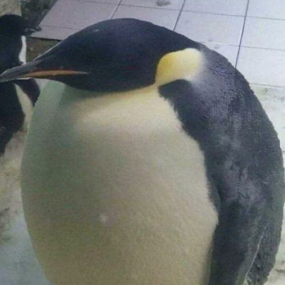 Man