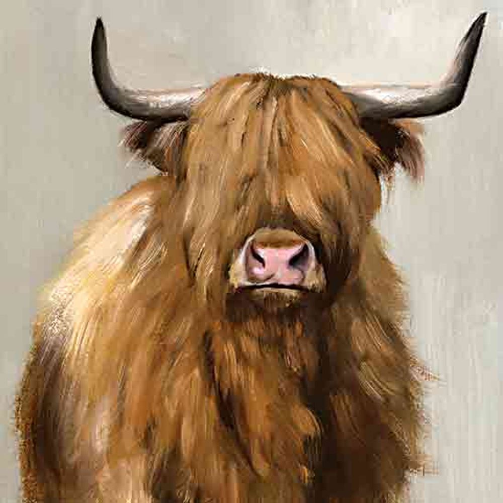 Harry Bison