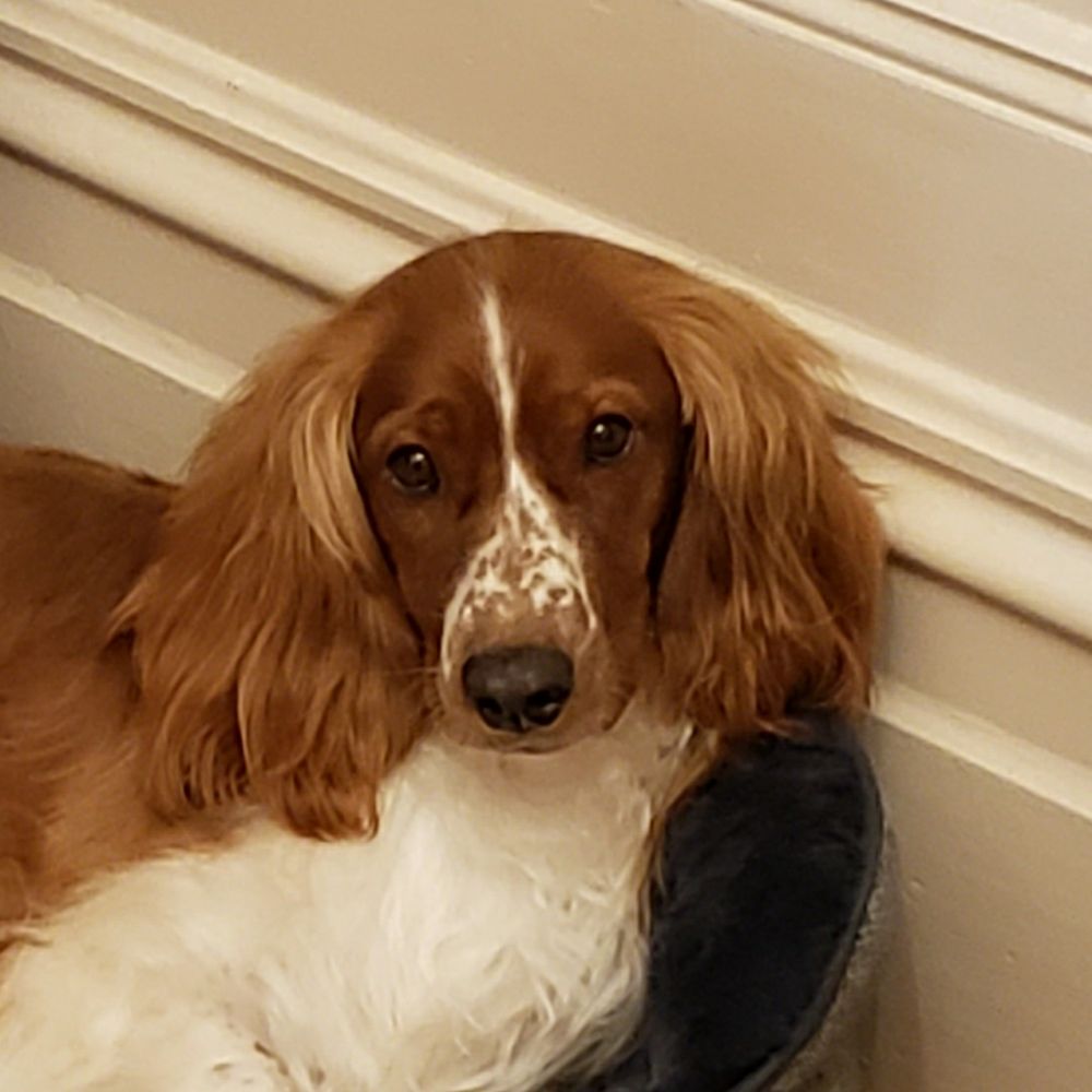 erik