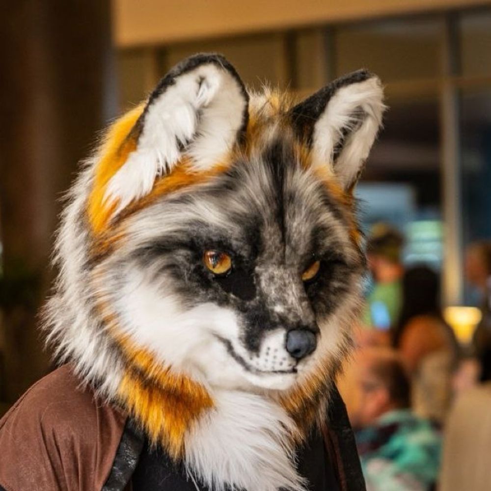 Kiamichi Fox