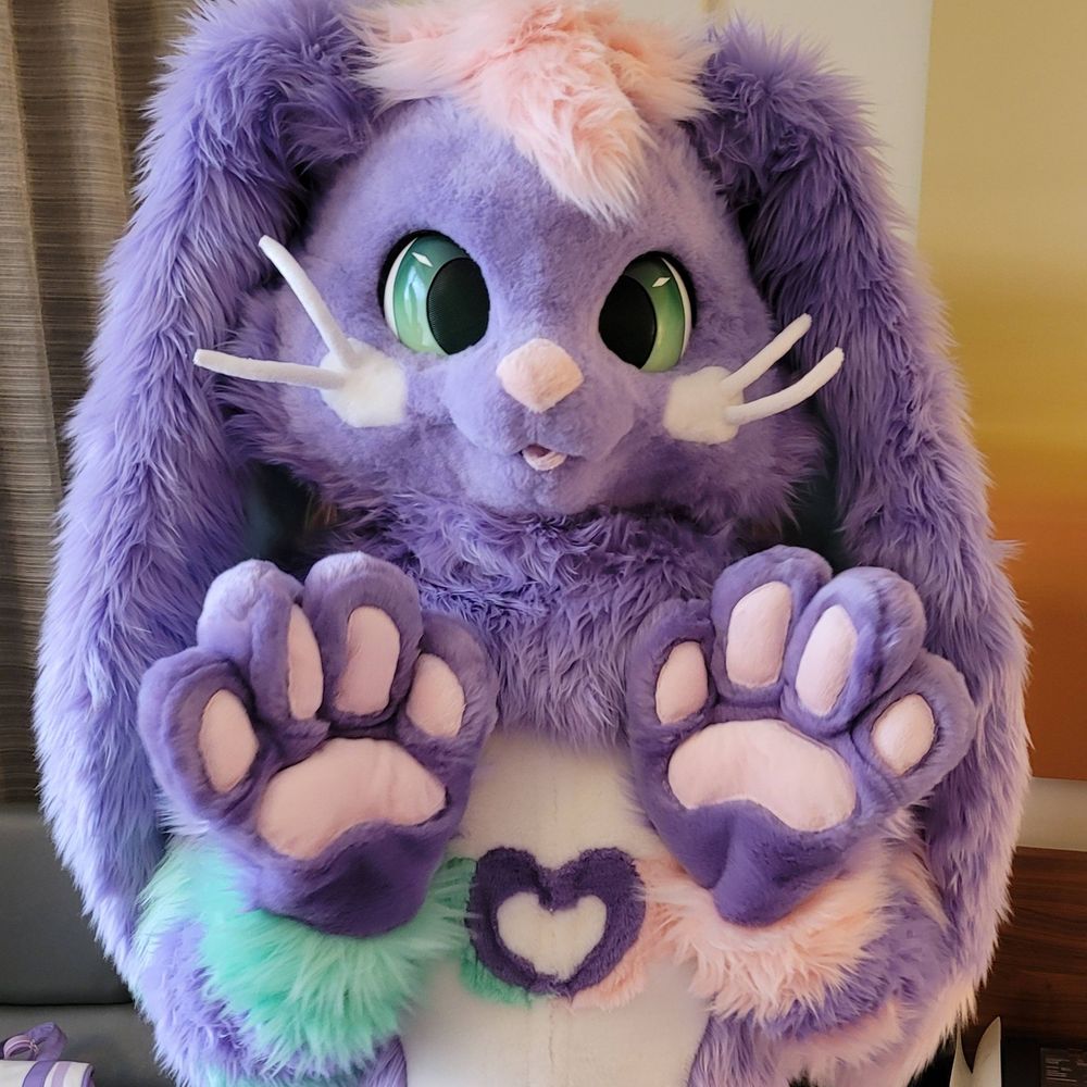 Bowie Bun (🐰) 🔜 FWA