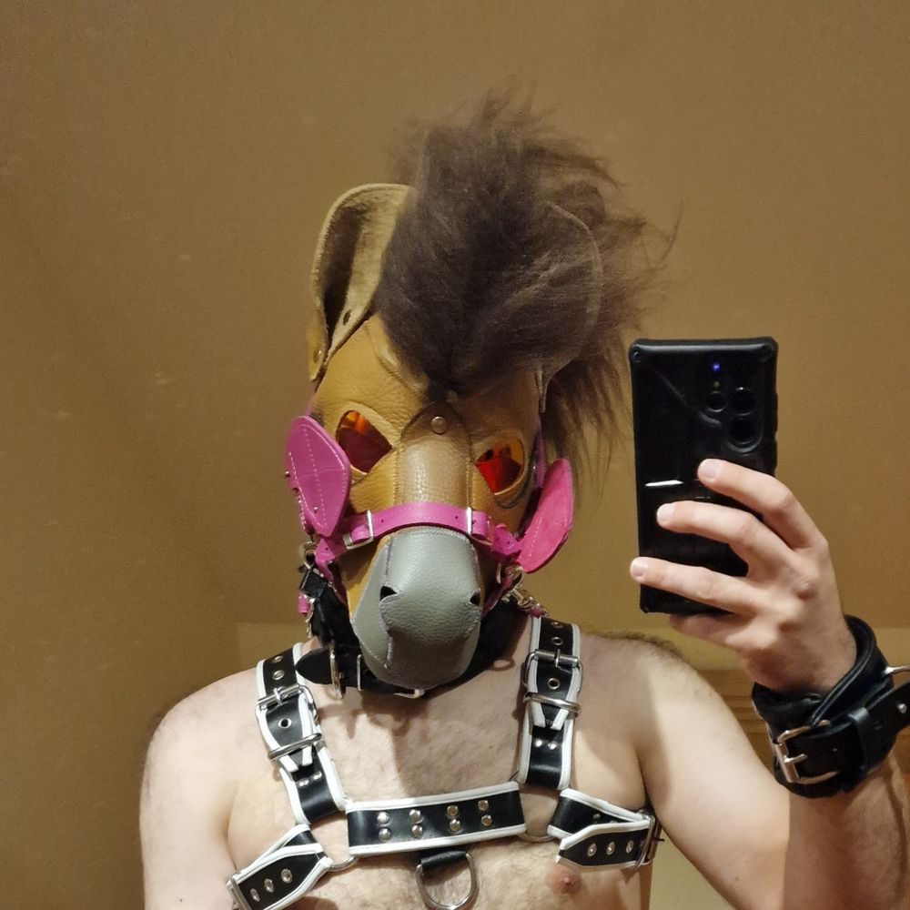 Naughty Hoss