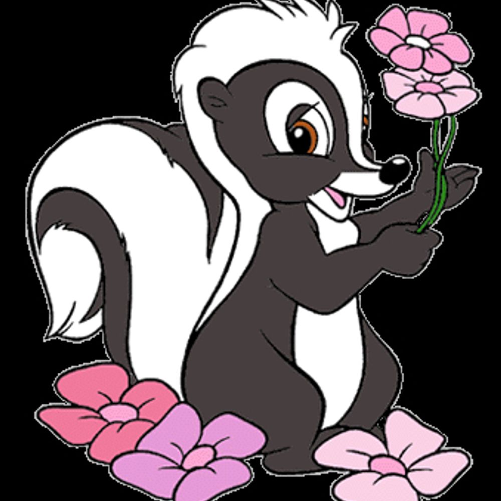 skunkityskunk.bsky.social on Bluesky