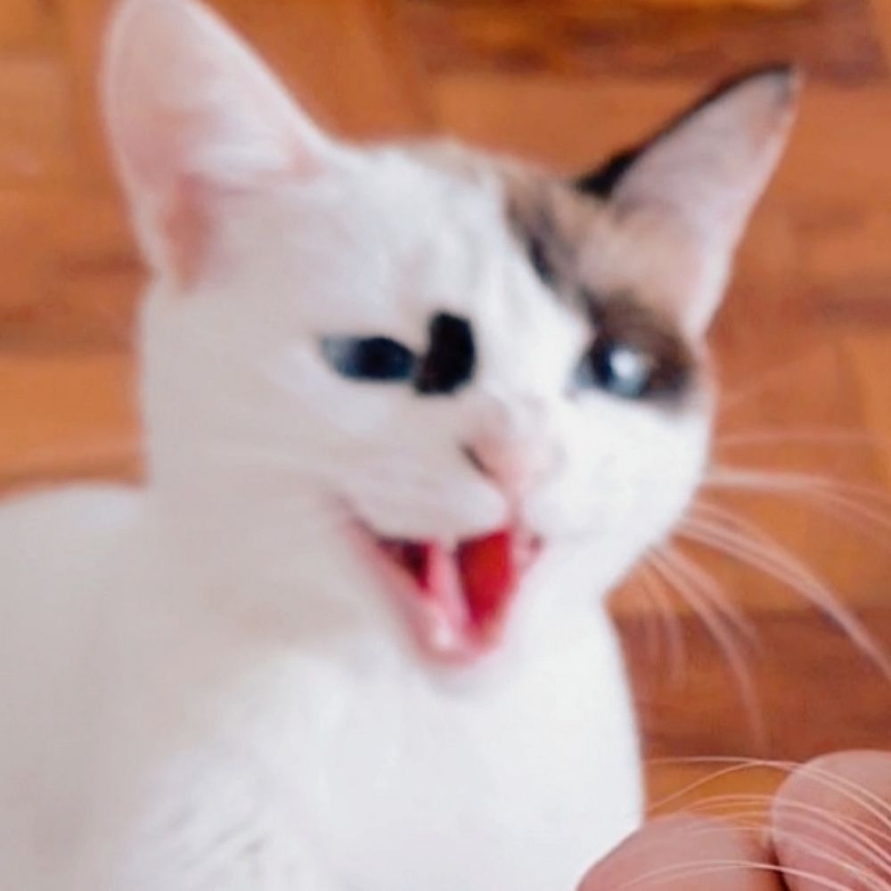 rê