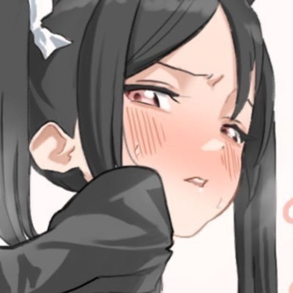 司