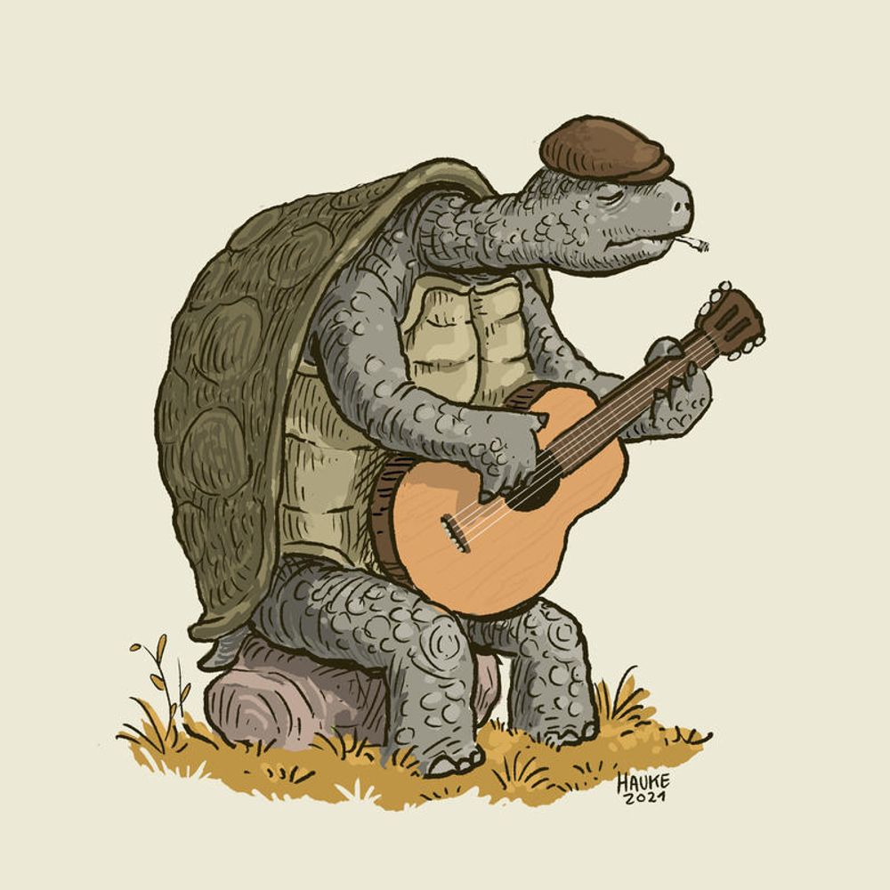 Turtle Blues