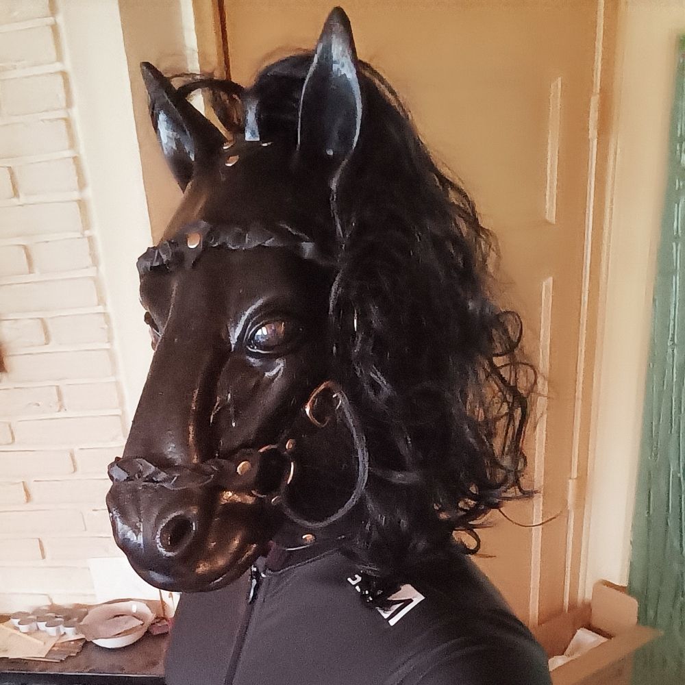 Eclipse the Pony
