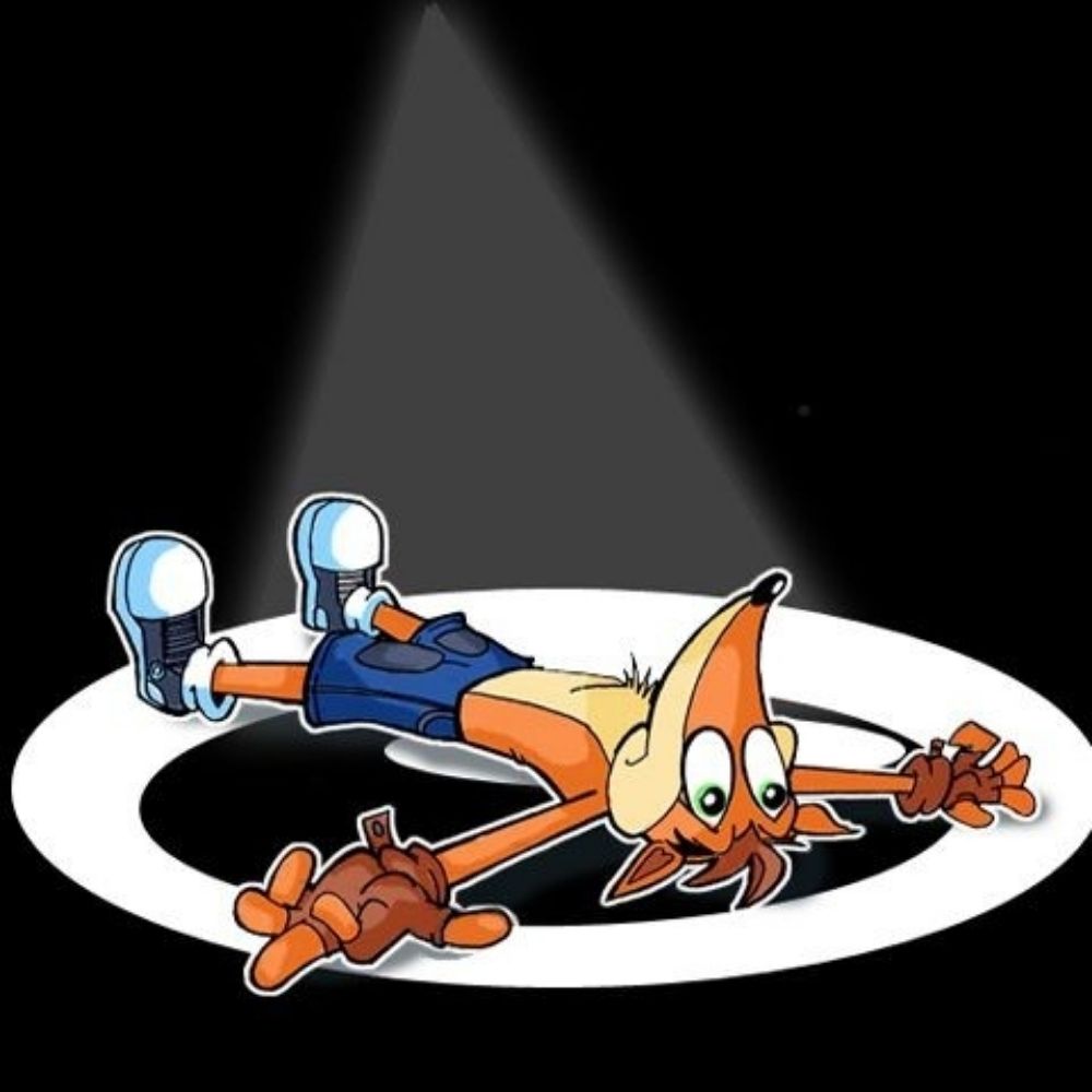 THE BANDICOOT 