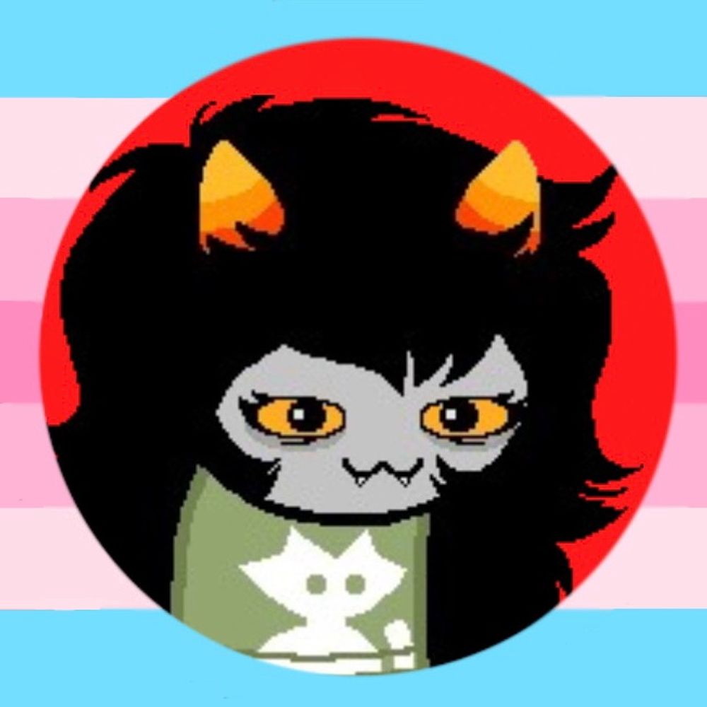 transfem maoist ☭