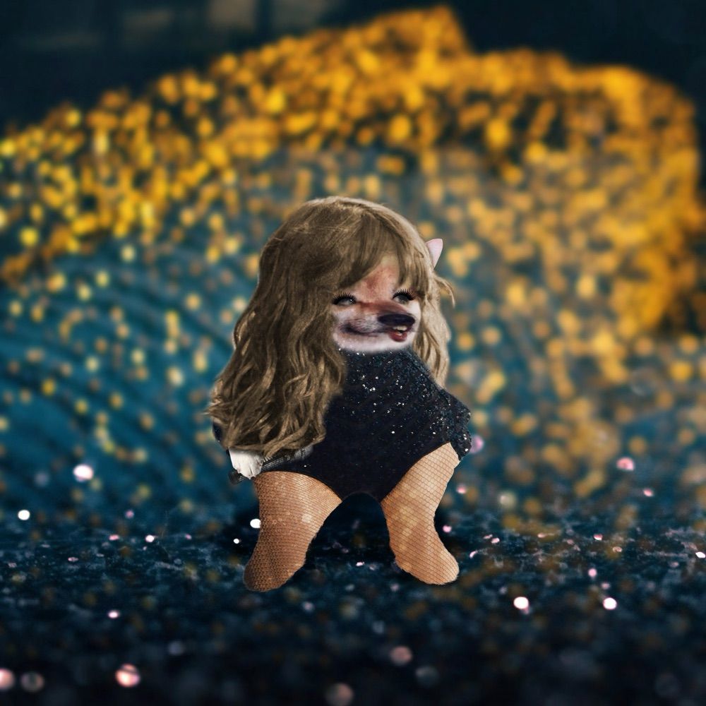 SwiftieFellina