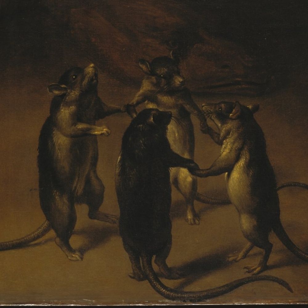 Rat4