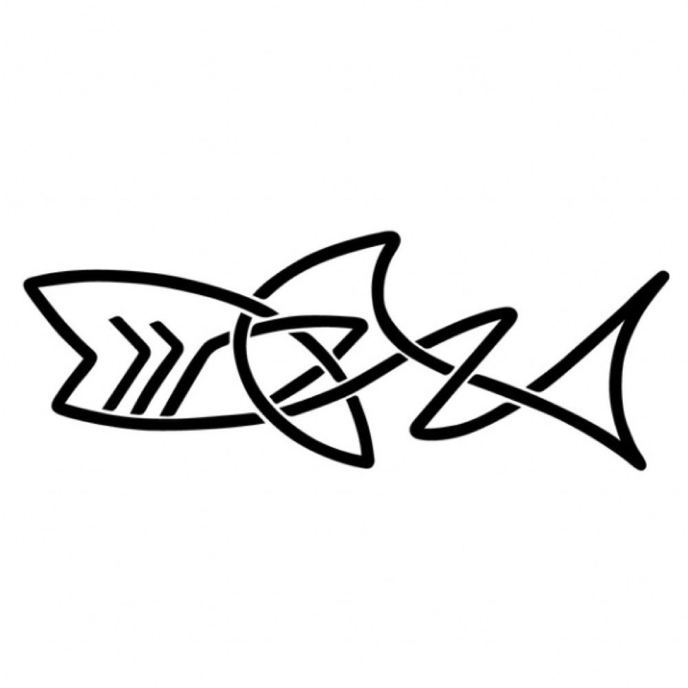 Irish Basking Shark Group