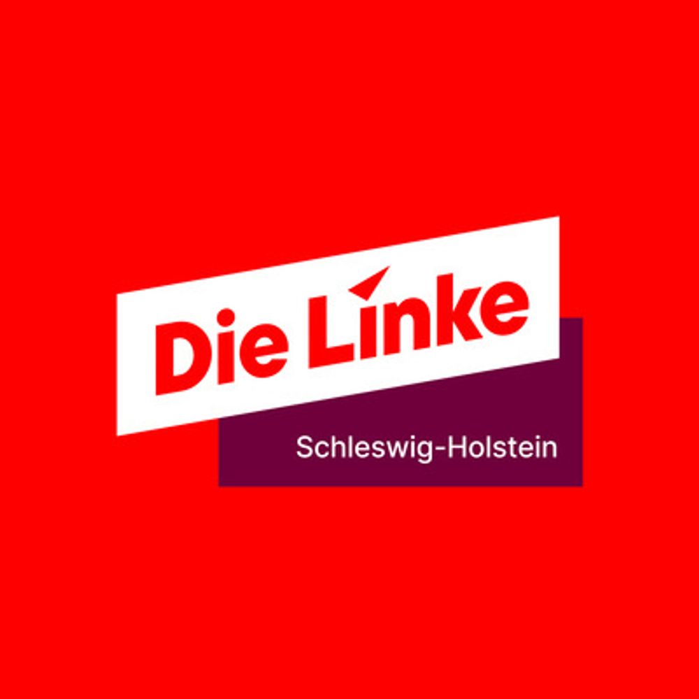 Die Linke Schleswig-Holstein