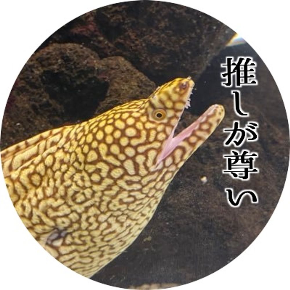 豊島