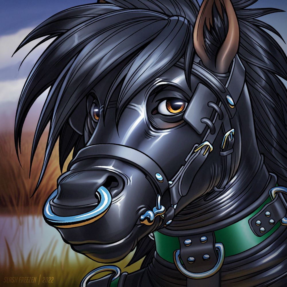 Dark Stallion
